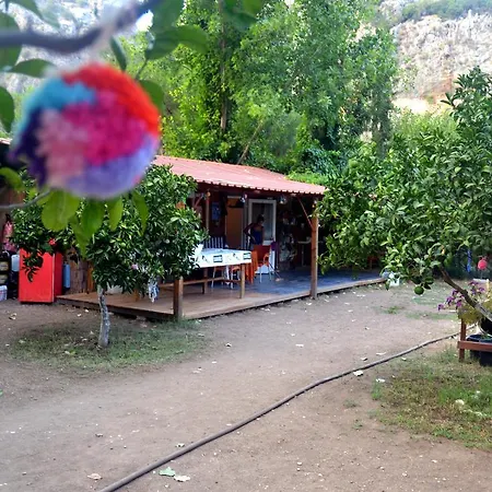 Aylak Yasam Kamp Kemping Tekirova